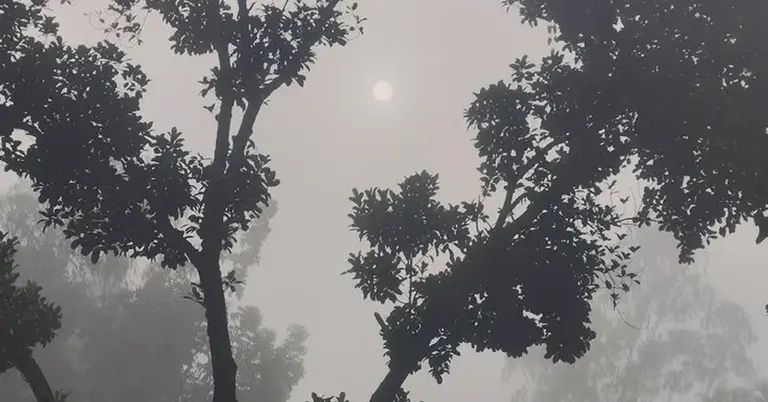 শীতের সকাল
